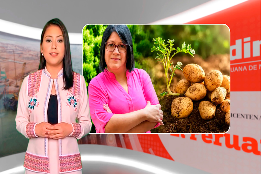Illariywan Yachariy: científica peruana premiada por papas biofortificadas